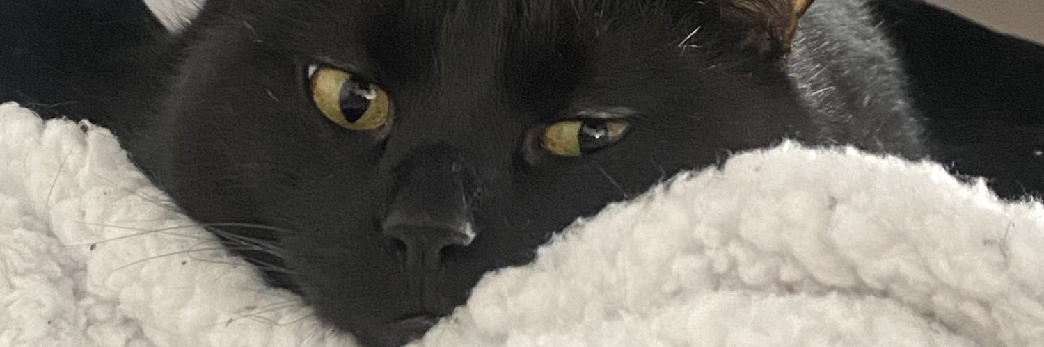 zoemt_'s profile banner image