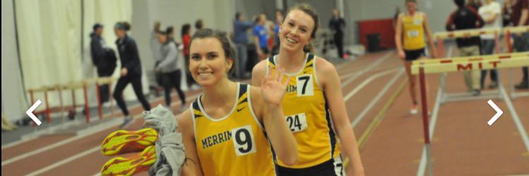 Colleen Englert banner