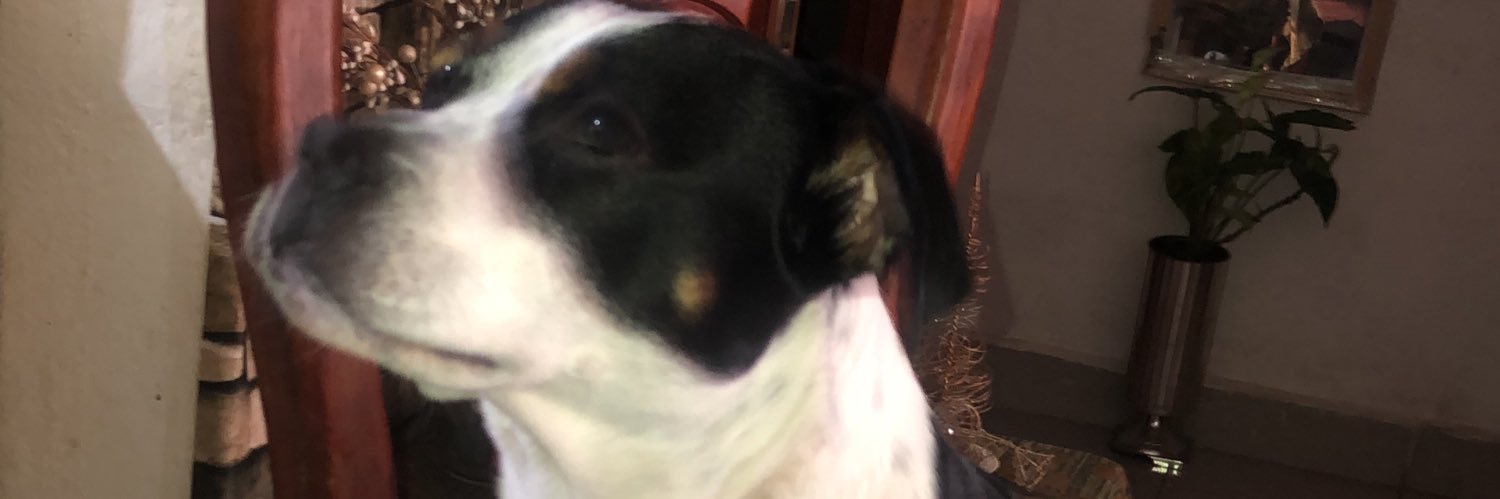 jsuarezn's profile banner image