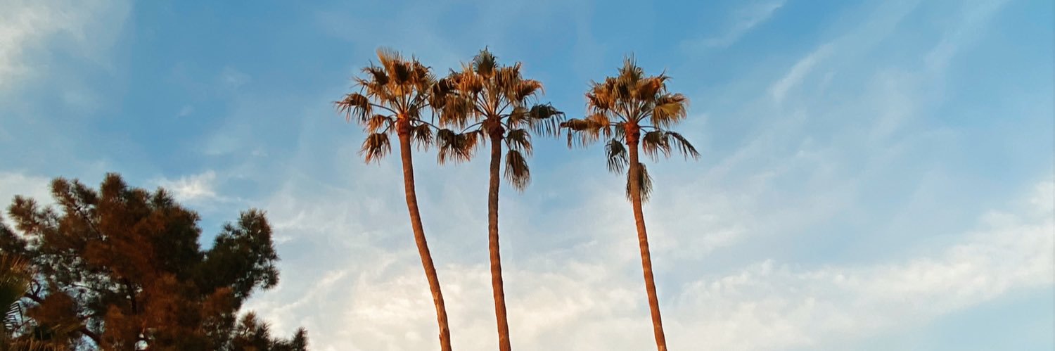 drhodezz's profile banner image