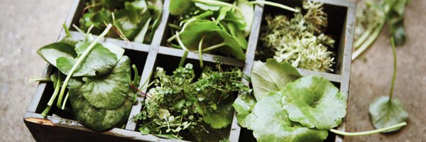 RabbitResto Profile Banner