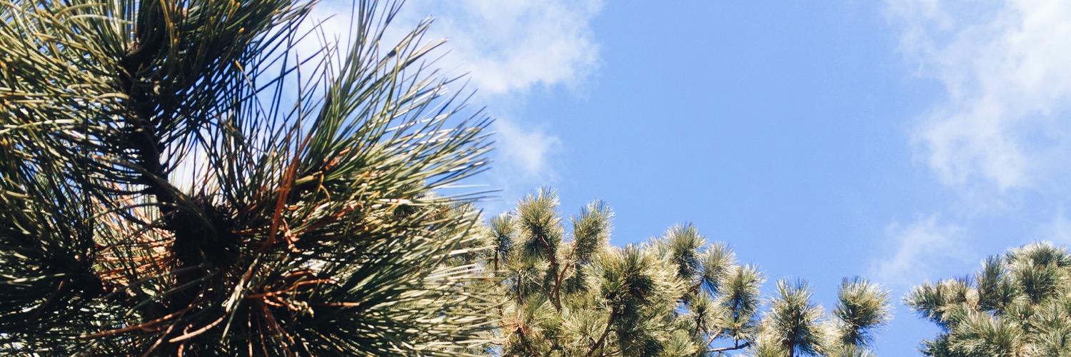 KatieMSP's profile banner image