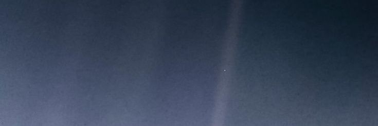holycharmolypi's profile banner image