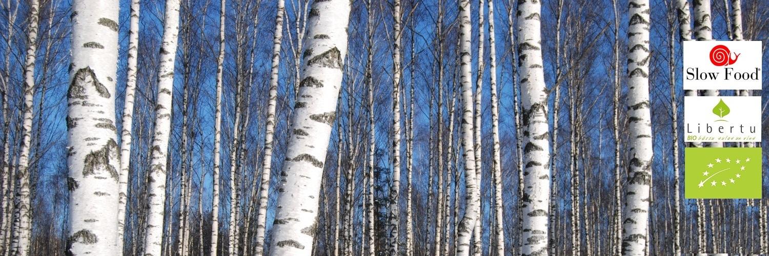 Linards Liberts banner