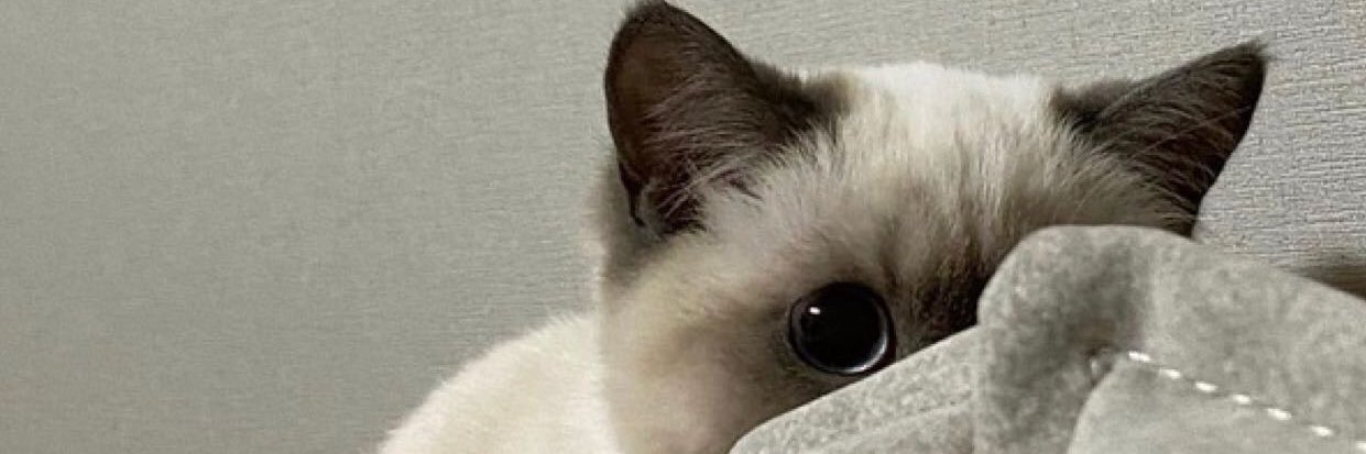 puppycookieee's profile banner image