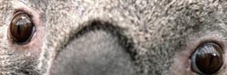 ChandBen's profile banner image