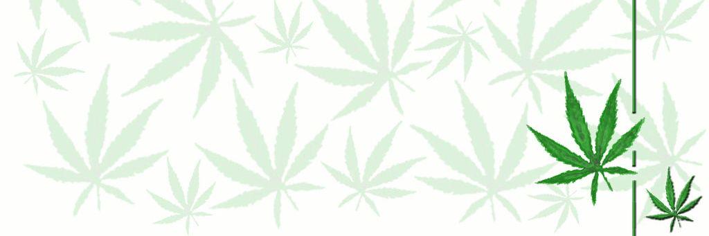 chaplank291's profile banner image