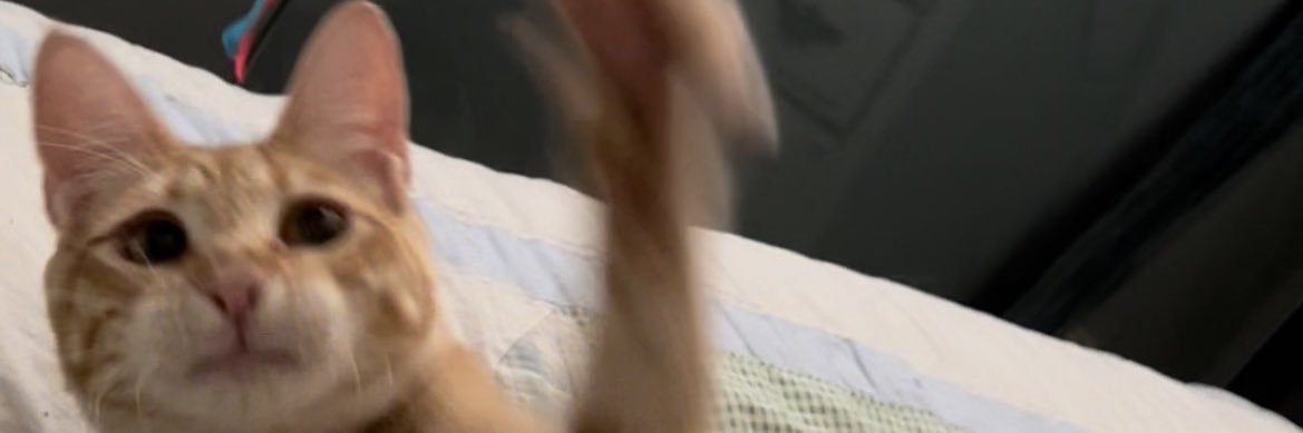 Andres Calderon banner