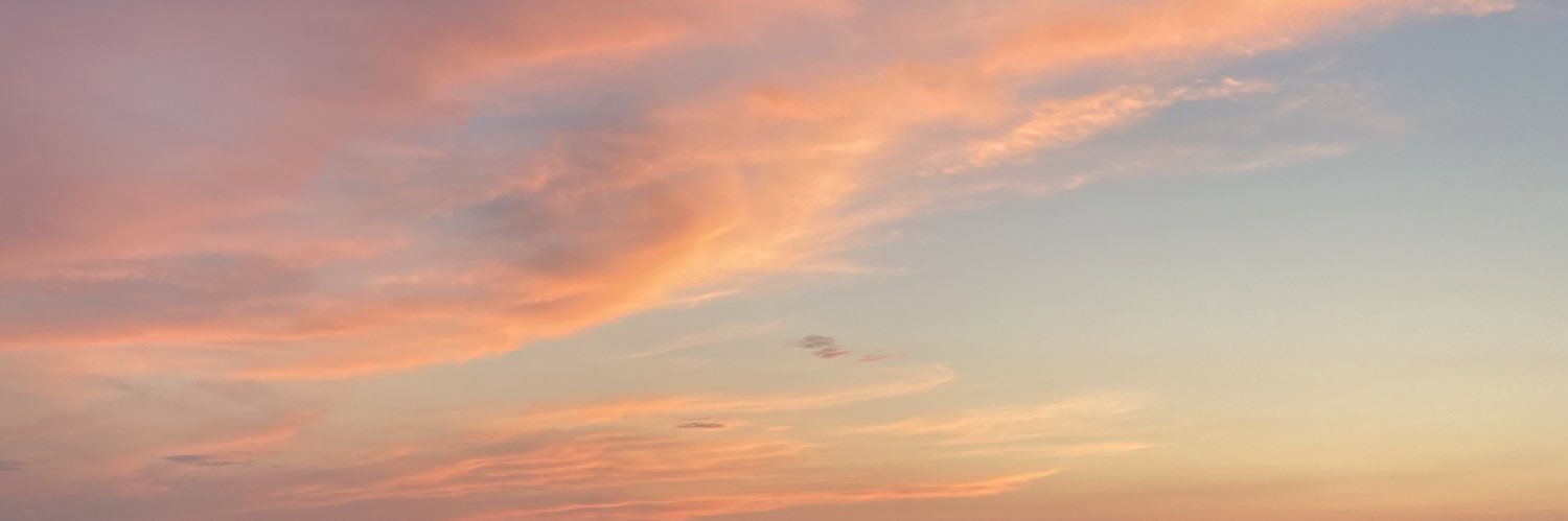 VII banner