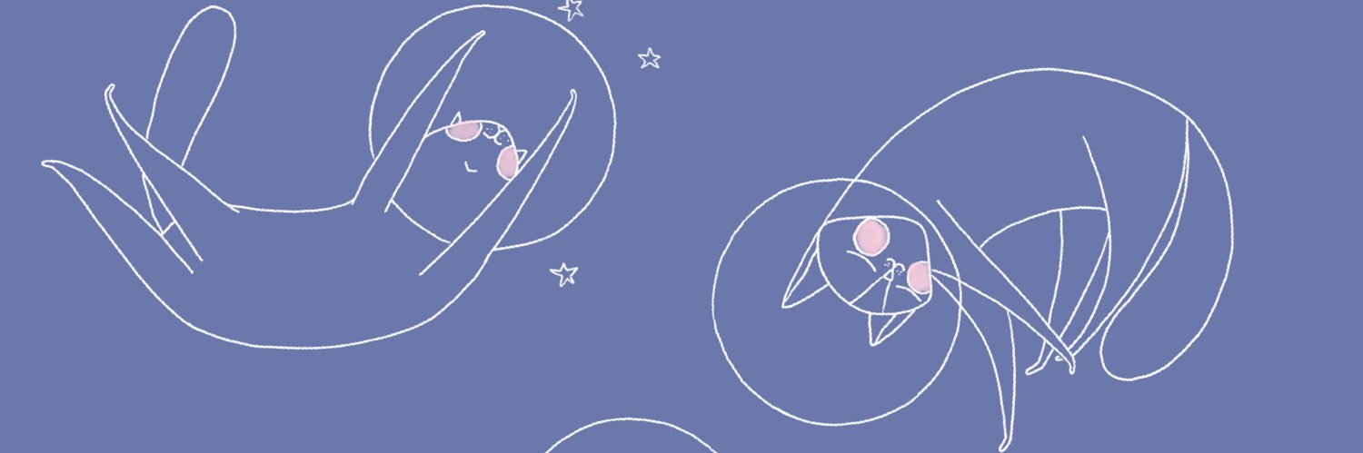 Evelyn Moreno banner