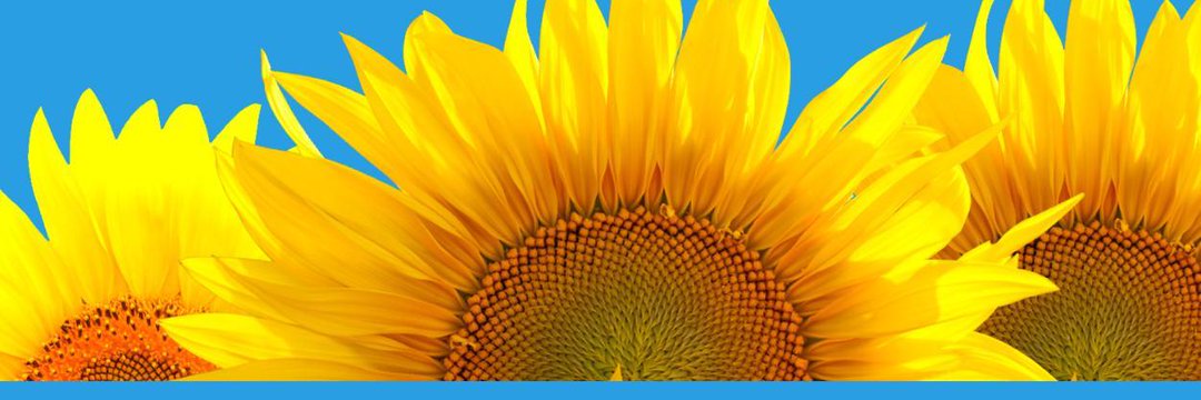Rick__Clarke's profile banner image