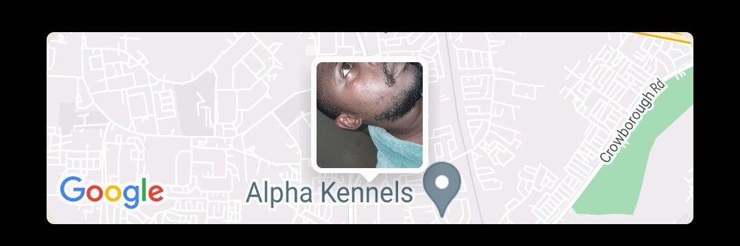 SimbaMucheri's profile banner image