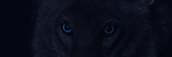 MaliaTate56's profile banner image