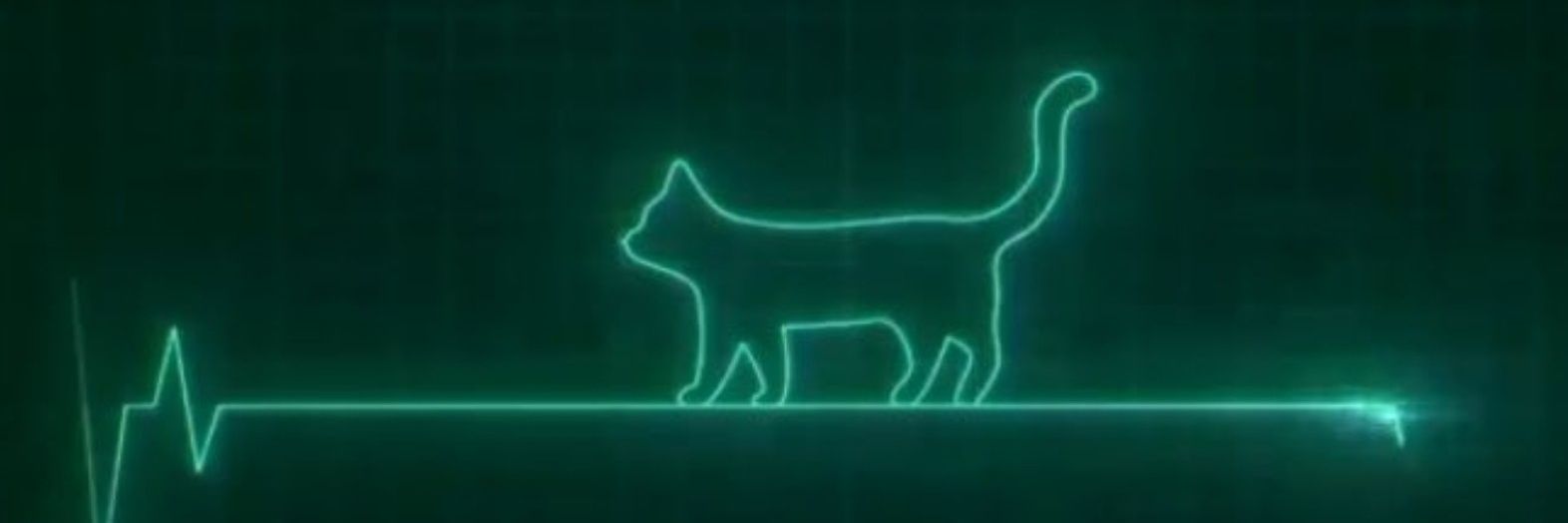 NotADeadCat_'s profile banner image