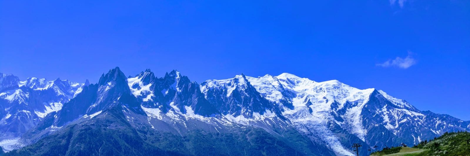 Sharon Besser banner