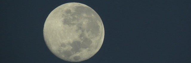 PEllis0202's profile banner image