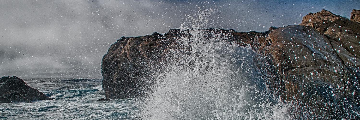 MDavidPhoto's profile banner image