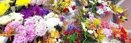 raghavdew's profile banner image