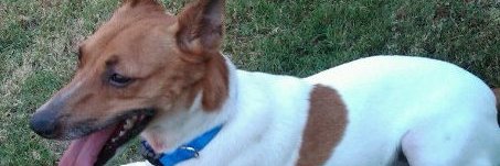 Brian Goodner banner