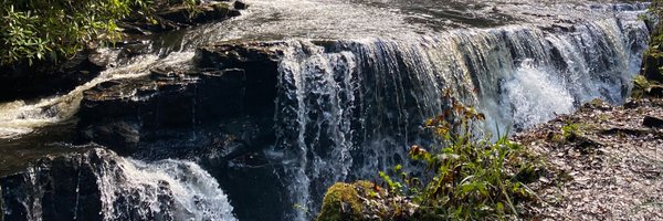 nollaigoconnor Profile Banner