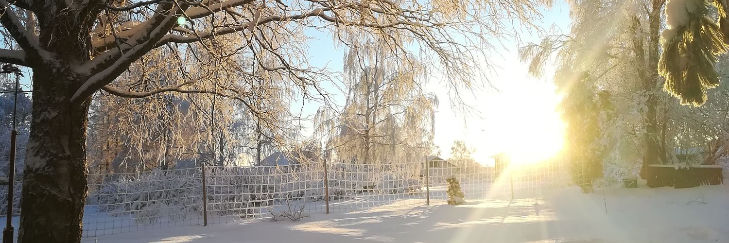 QueenOfFunland's profile banner image
