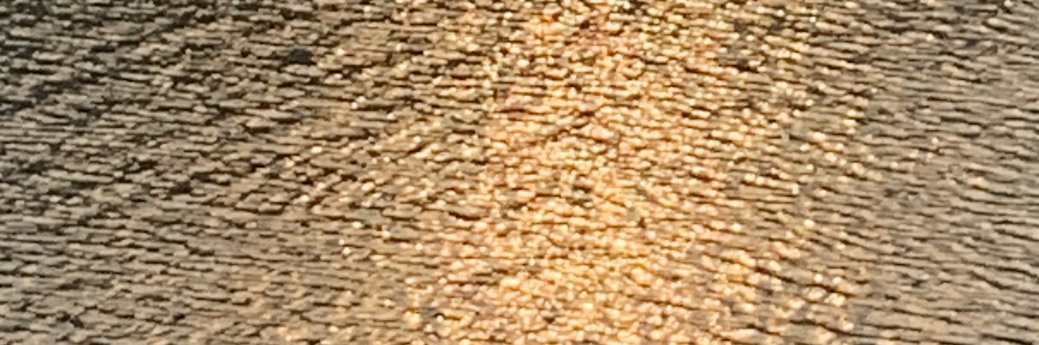 papapapeachu's profile banner image