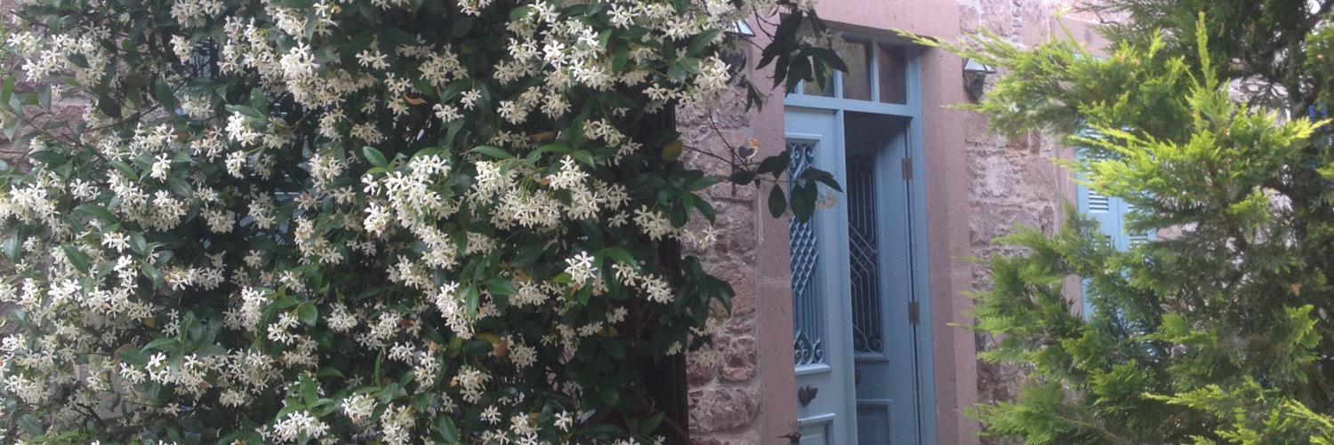 figenyanik's profile banner image