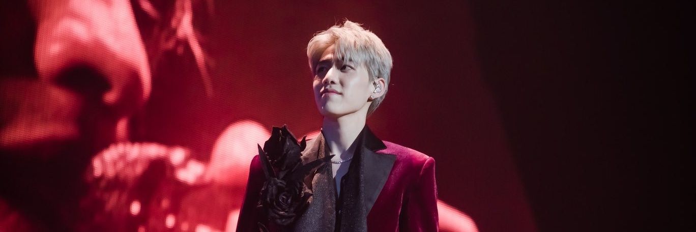 lulu ⟭⟬ 🐧🌹 banner