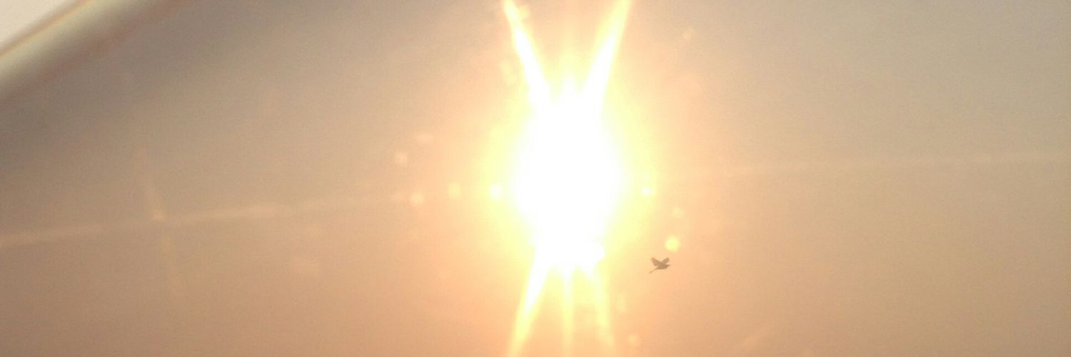 maangolaku's profile banner image