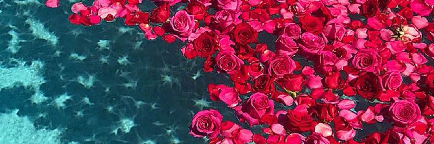 📝🧘🏽‍♀️ banner