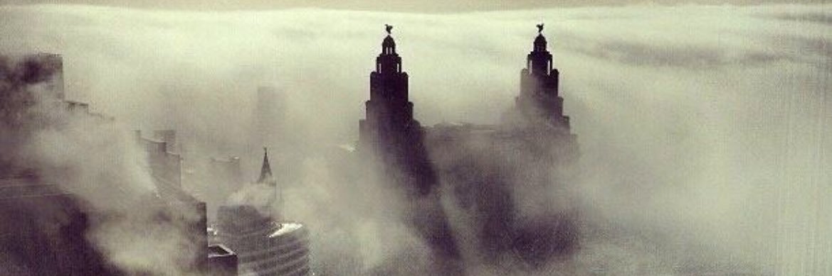 I Am The Bert banner