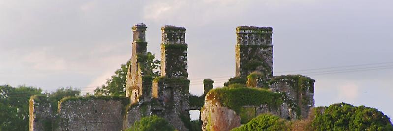 Castlelyons NS banner
