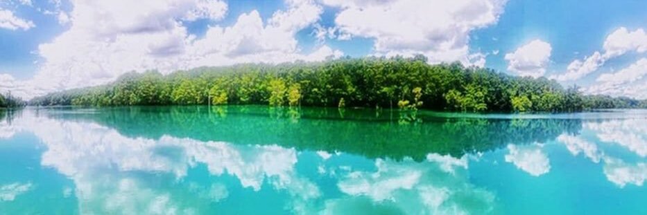 VolatileQueen banner