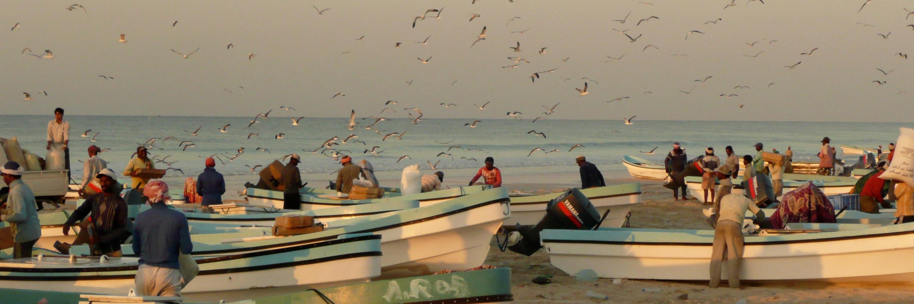 MEP_Fish's profile banner image