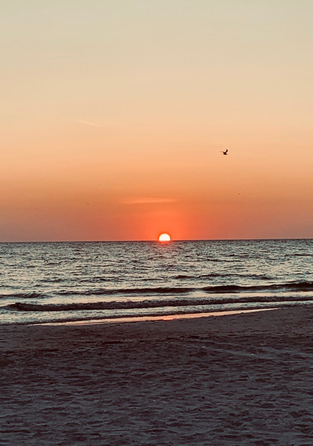 stgmanning's profile banner image