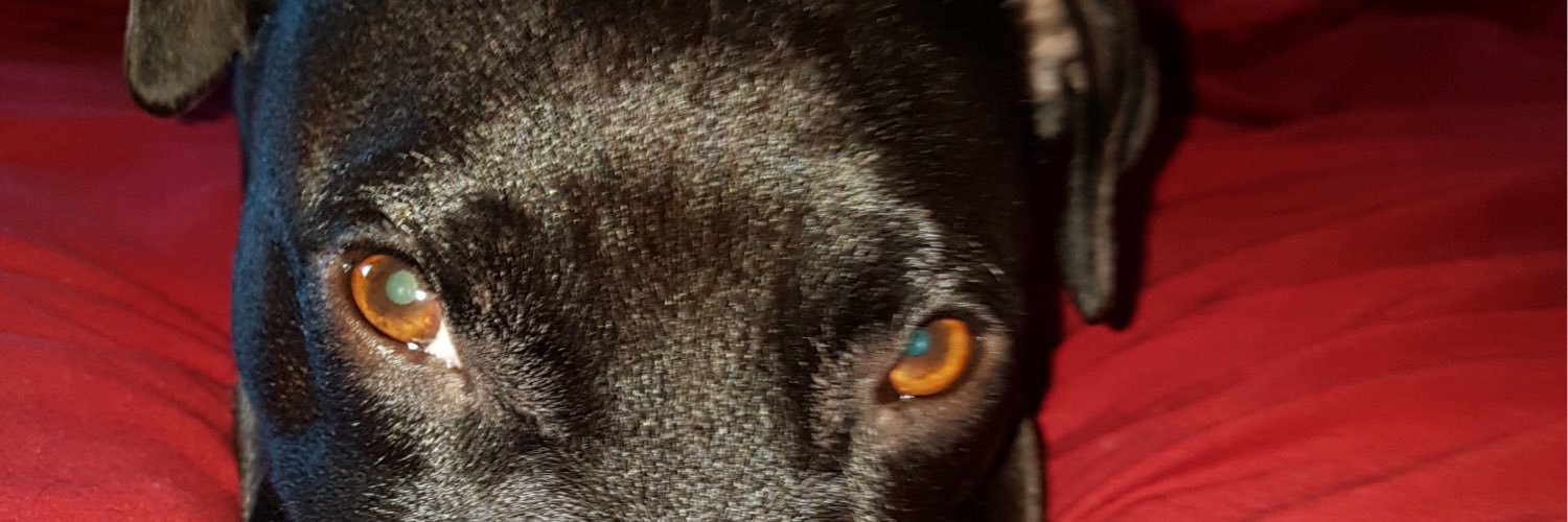 SvvissToni_'s profile banner image