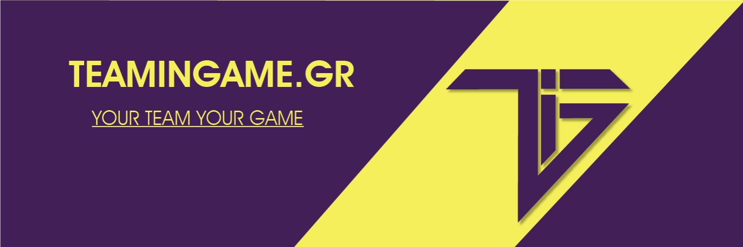 TeamInGame banner
