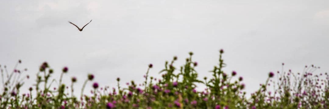 FatiFreee's profile banner image