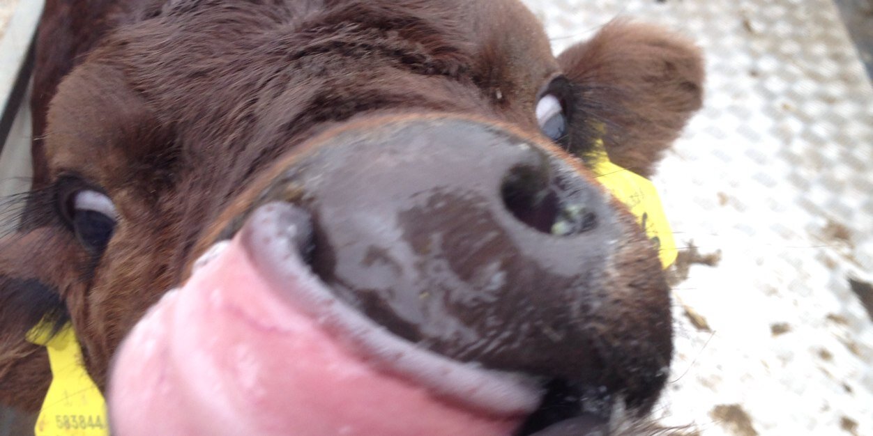 roooobs69's profile banner image