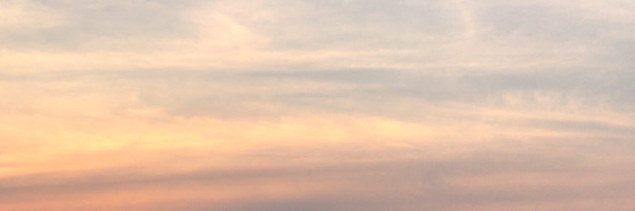 richsharex's profile banner image