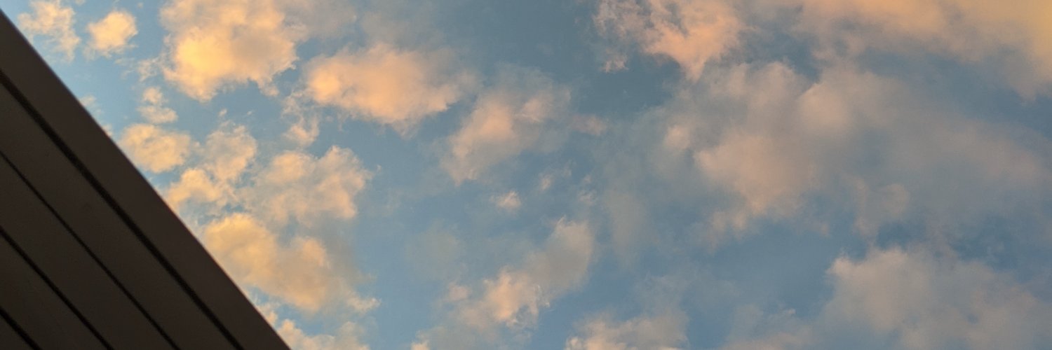 floracherry_'s profile banner image