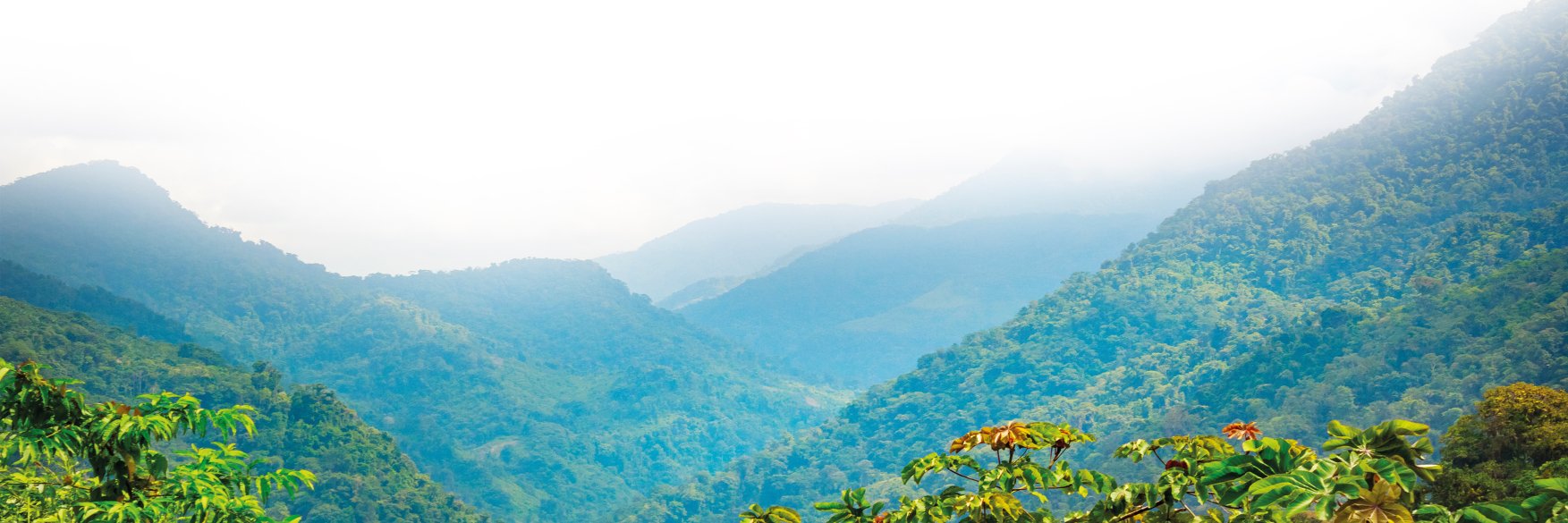 panamabluewater's profile banner image