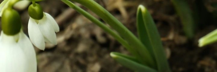 dsramadhan9's profile banner image
