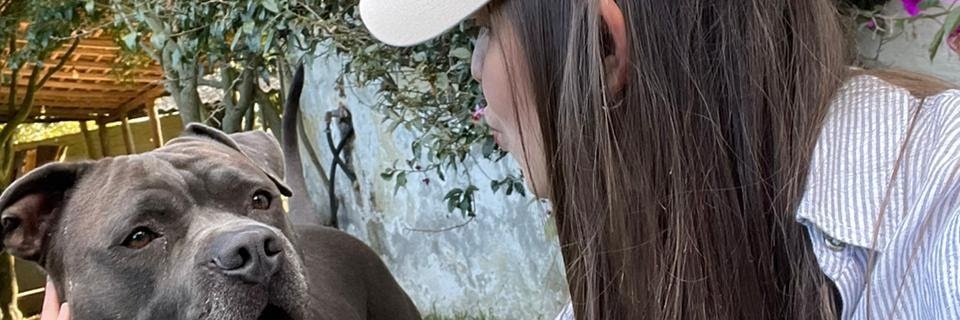 ElianaMayreth's profile banner image