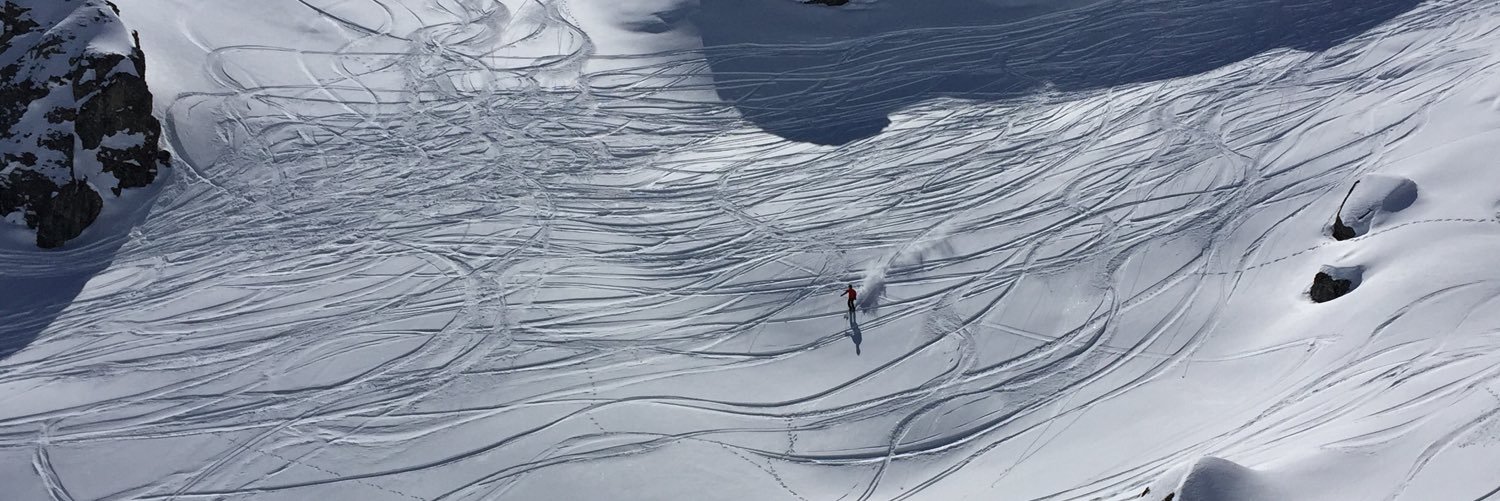 Ellen van Thiel banner