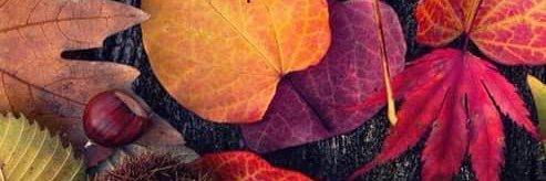 Emma_Craig1's profile banner image