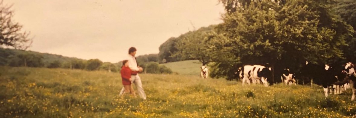 Heather Bucha Whaley 🇺🇦 banner