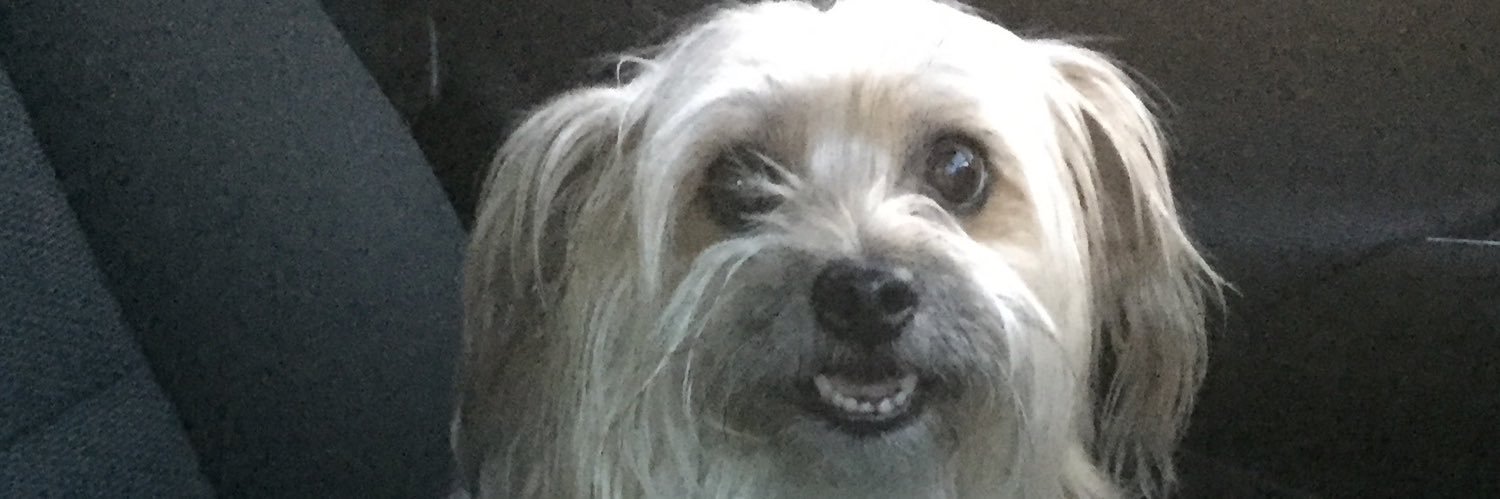 FiiiGf's profile banner image