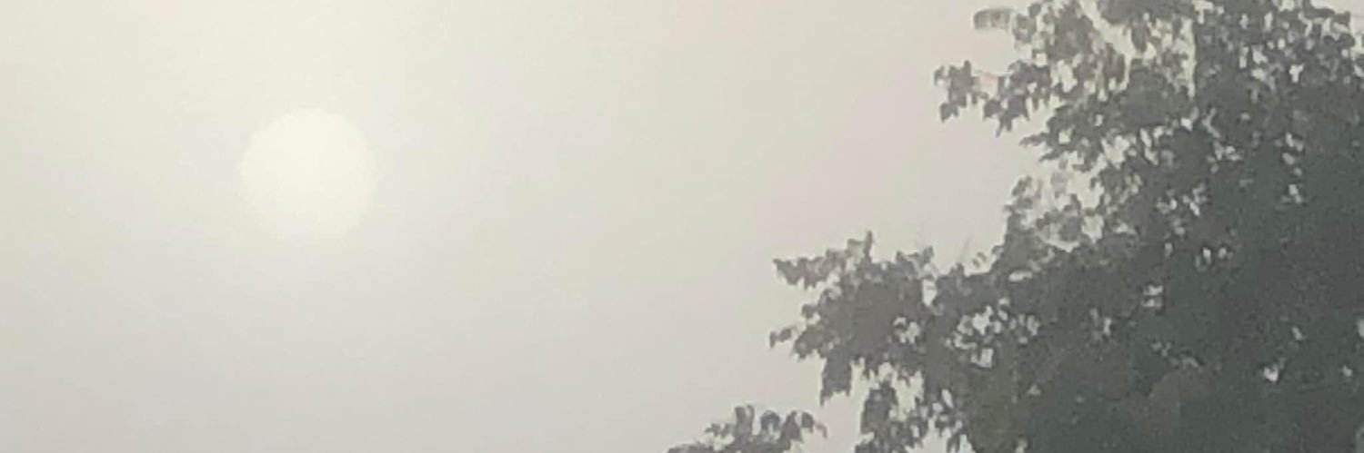 eileenthewriter's profile banner image
