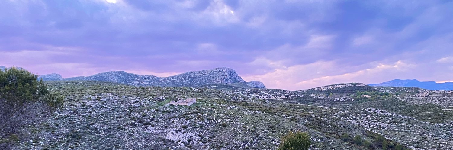 JulietaHern's profile banner image